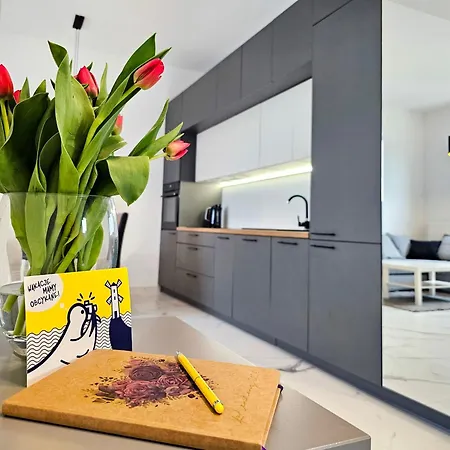 Visit Baltic - Platan Tower Grey Apartment *